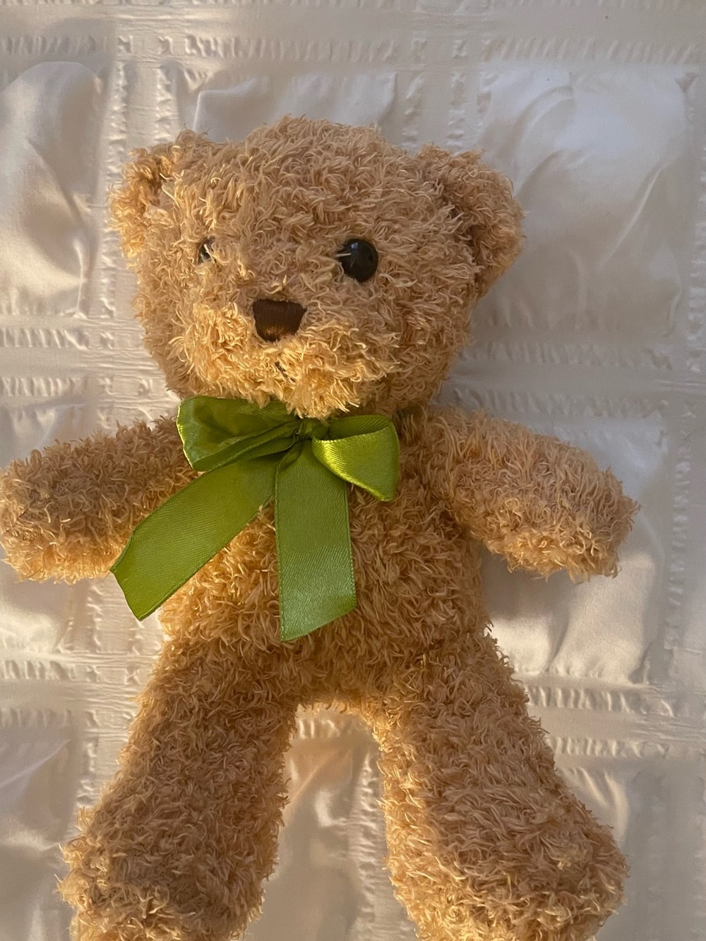 Plush Tan Teddy Bear with Green Bow - Soft Cuddly Stuffed Animal